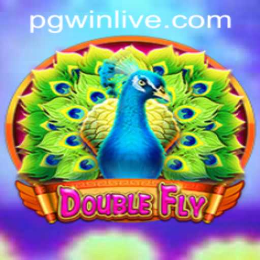 DoubleFly: A Thrilling Adventure in the Digital Realm